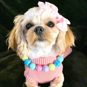 Easter Basket (14") - Pet Necklace - Pet Accessories